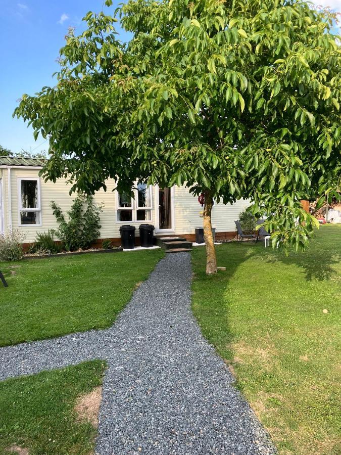 Petite Maison Dans La Nature Holiday home *